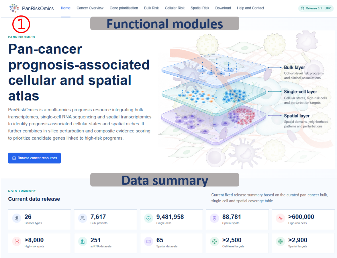 Home page functional modules and data summary