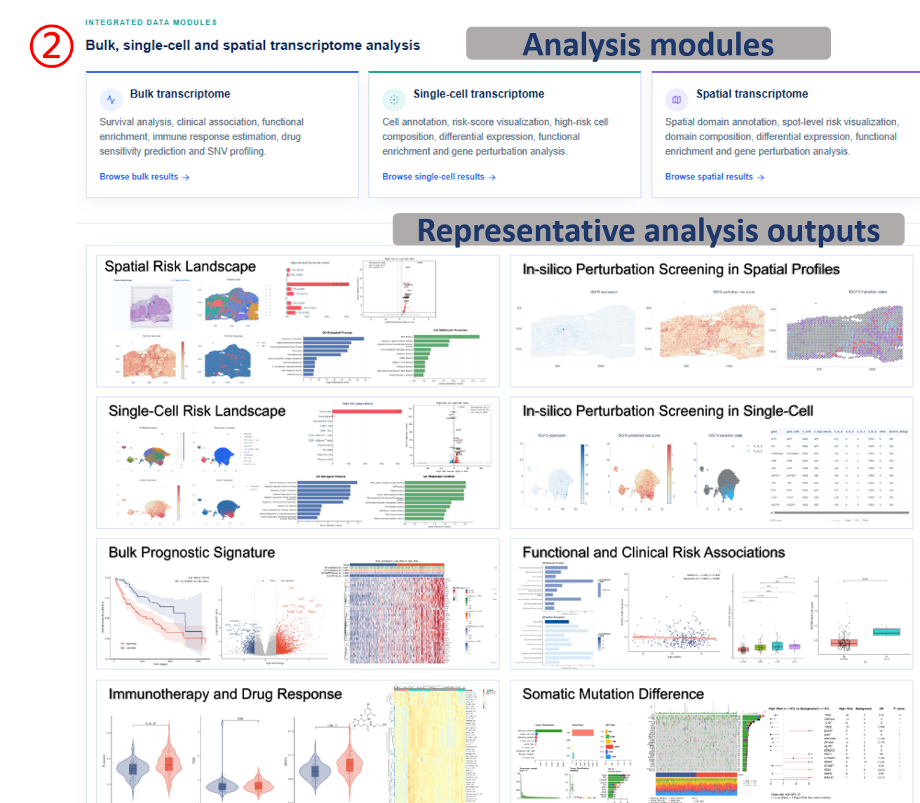 Home page analysis modules and representative outputs
