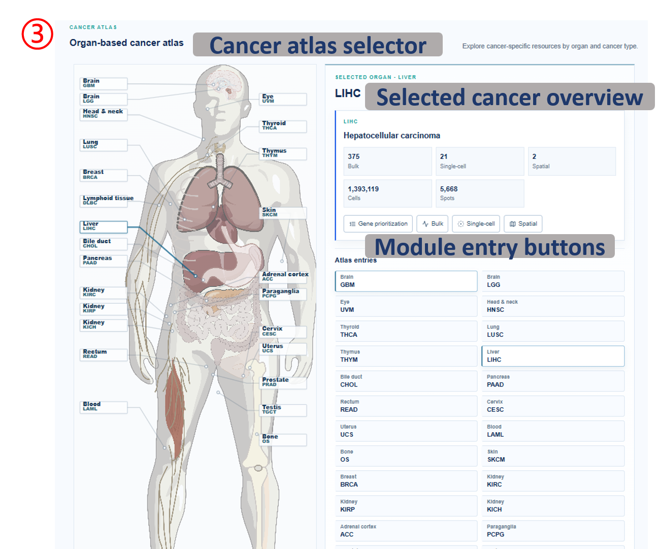 Home page cancer atlas selector and module entry buttons