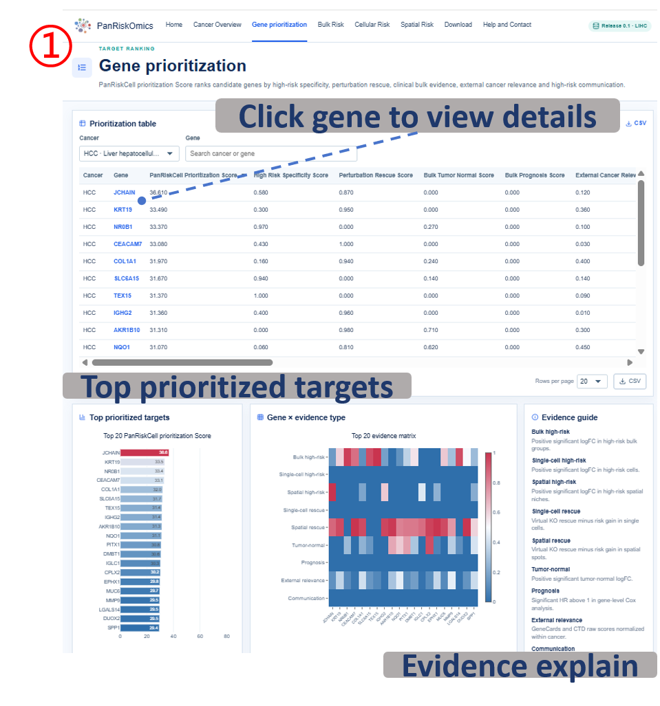 Gene prioritization table, top targets and evidence guide