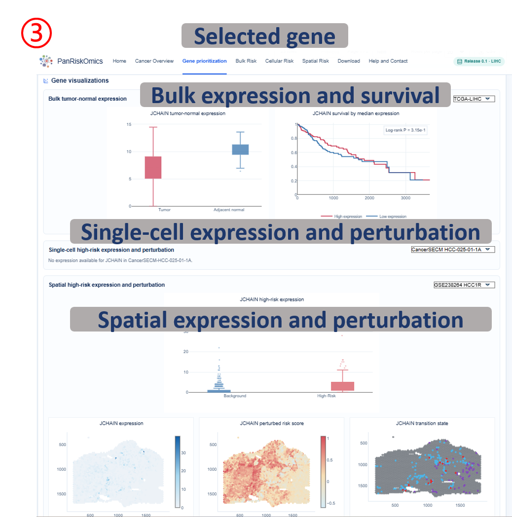 Gene detail bulk, single-cell and spatial expression and perturbation panels