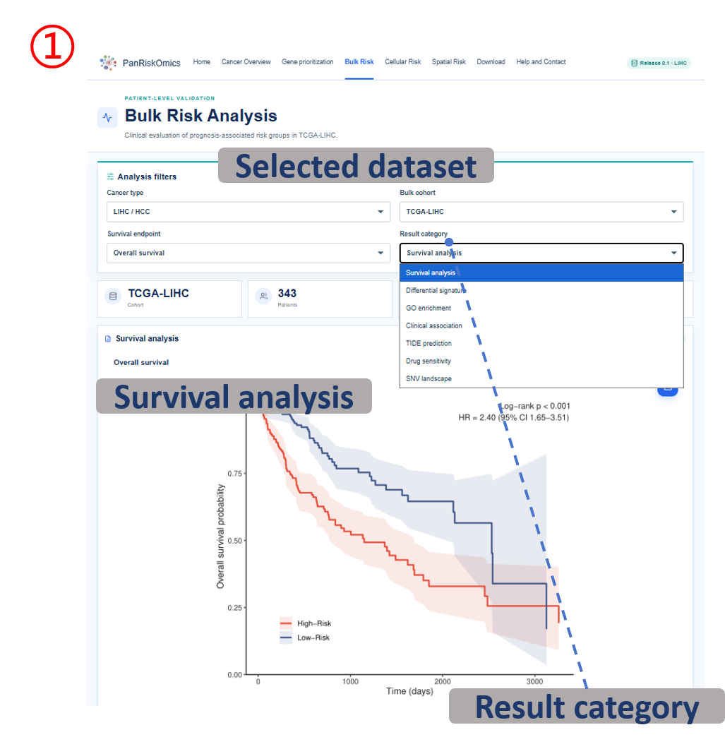 Bulk risk survival analysis dataset and result category