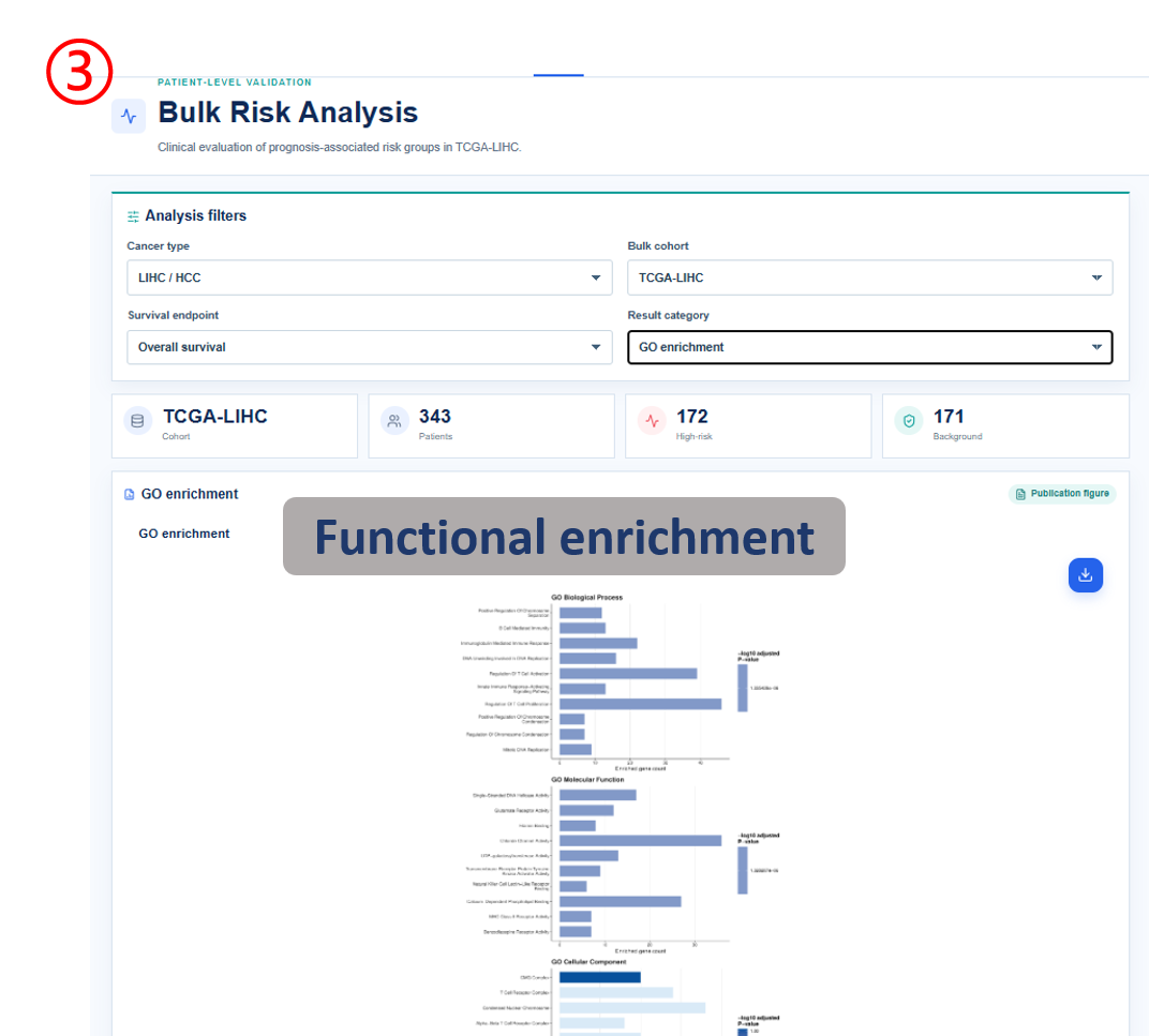 Bulk risk functional enrichment
