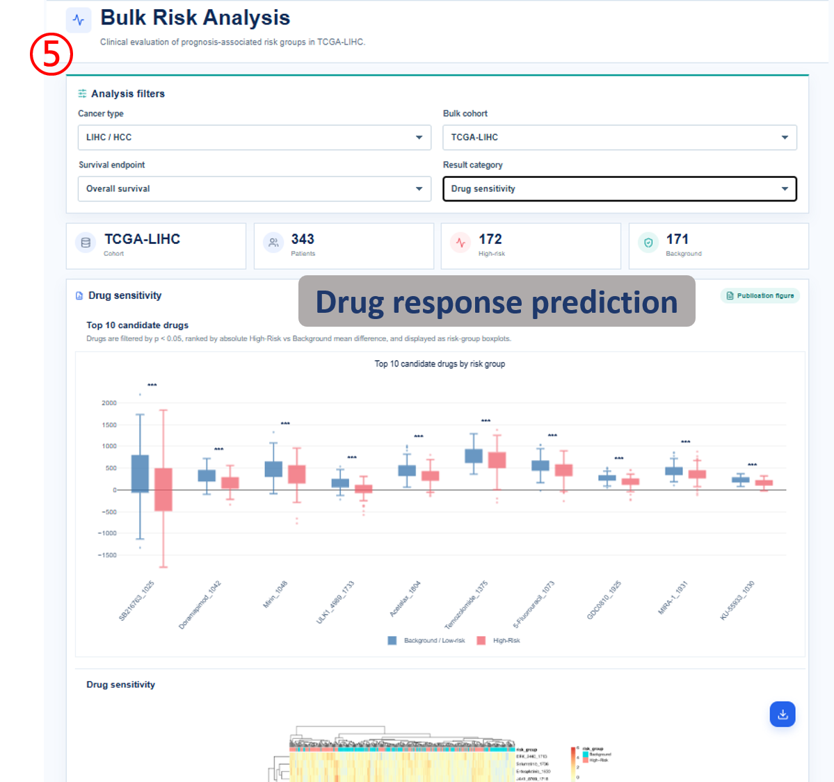 Bulk risk drug response prediction