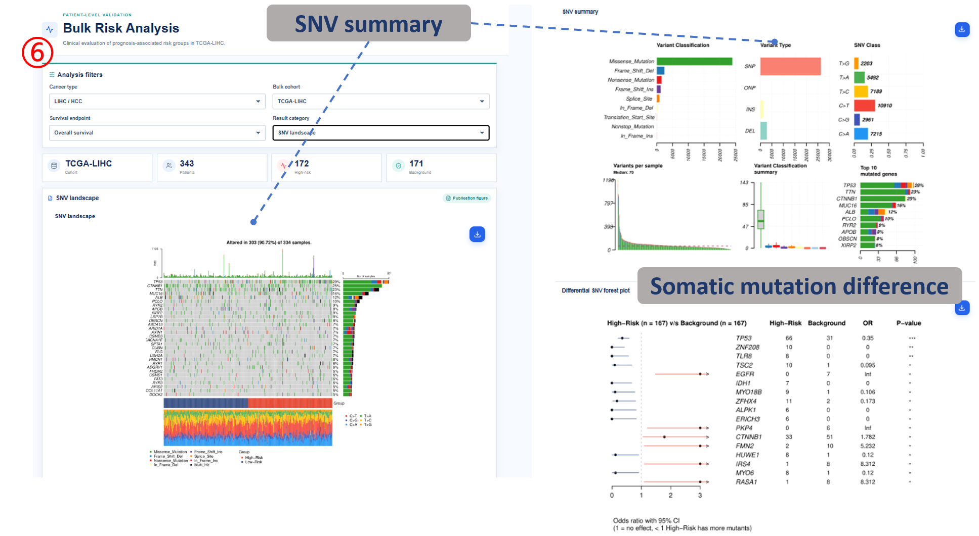 Bulk risk SNV summary and somatic mutation difference