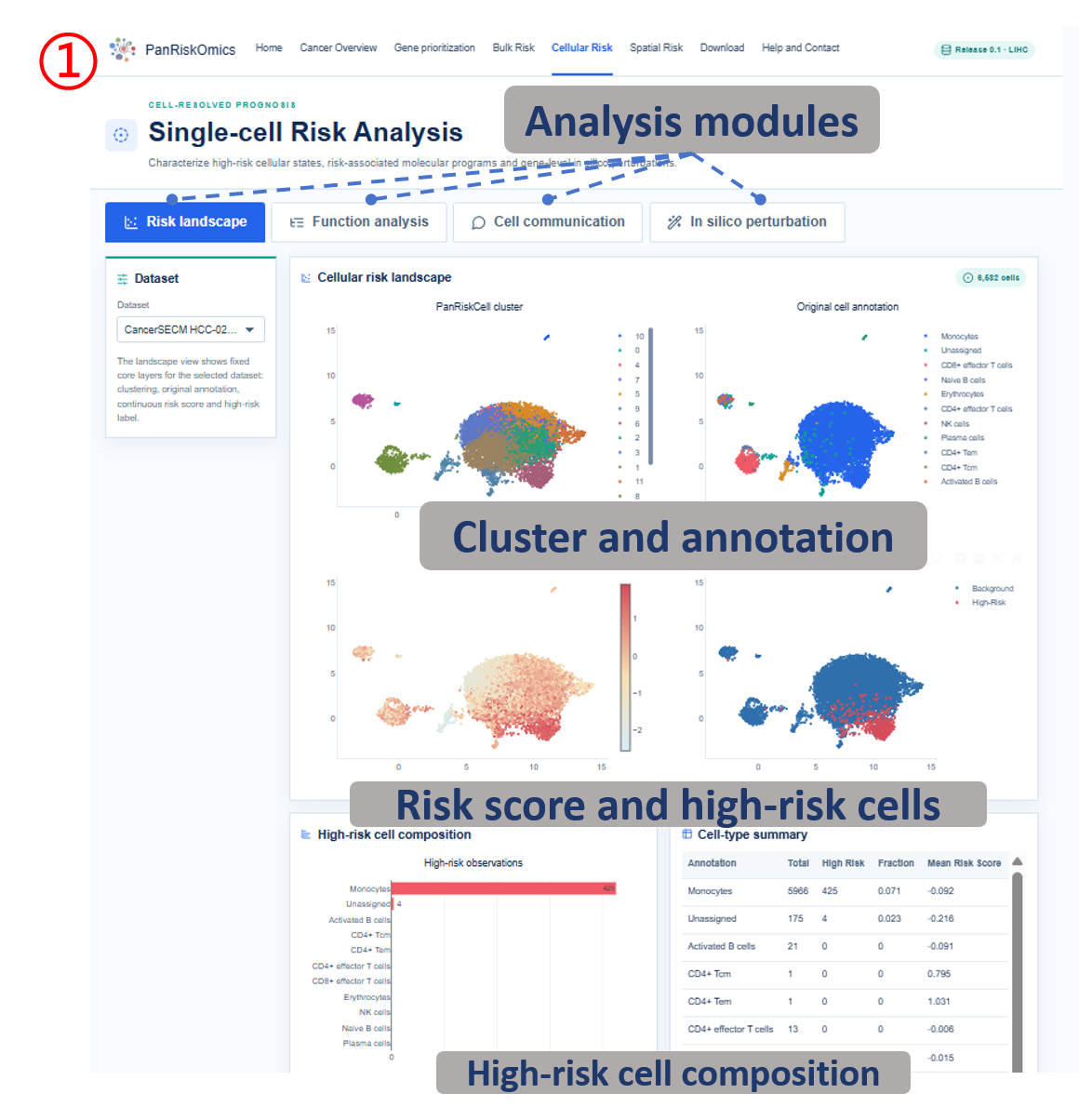 Cellular risk analysis modules, clusters, risk score and high-risk cells