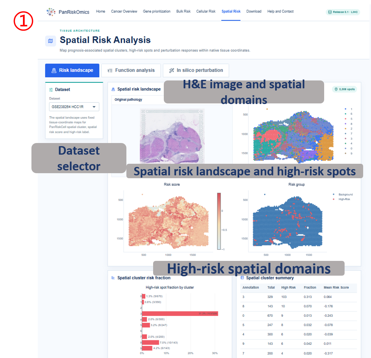 Spatial risk landscape, H&E image, domains and high-risk spots