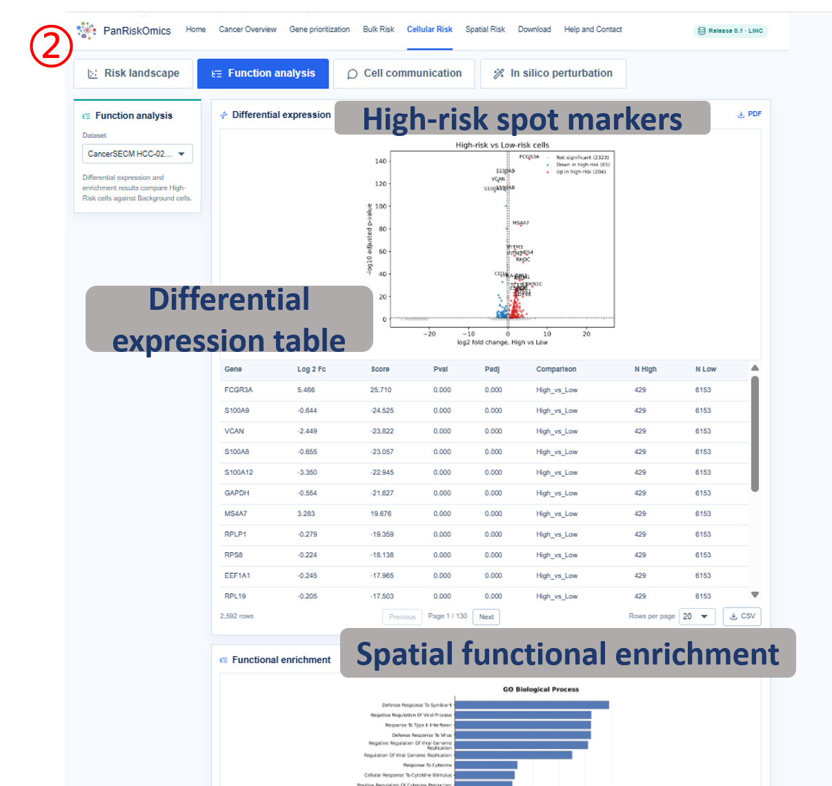 Spatial risk differential expression table, high-risk spot markers and enrichment