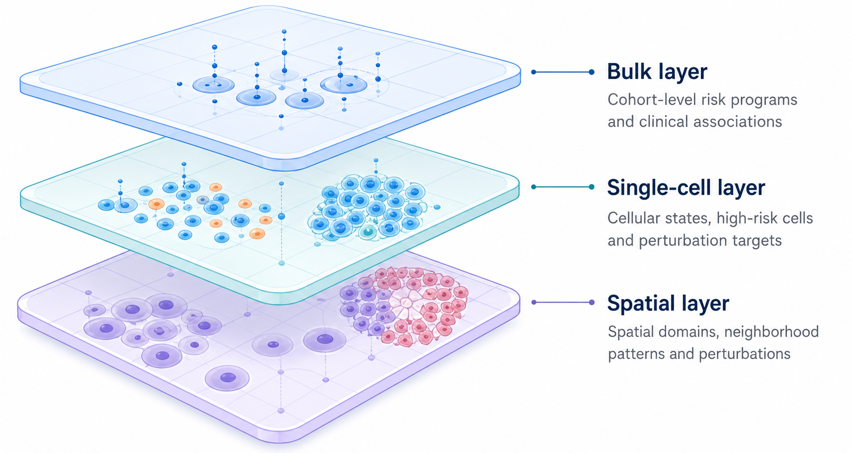 Three-layer SpatioCellularRisk illustration showing bulk, single-cell and spatial transcriptome modules